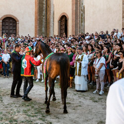 palio 2022-12